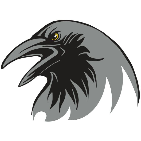 AR31 RAVEN 02 RQC Thumbnail