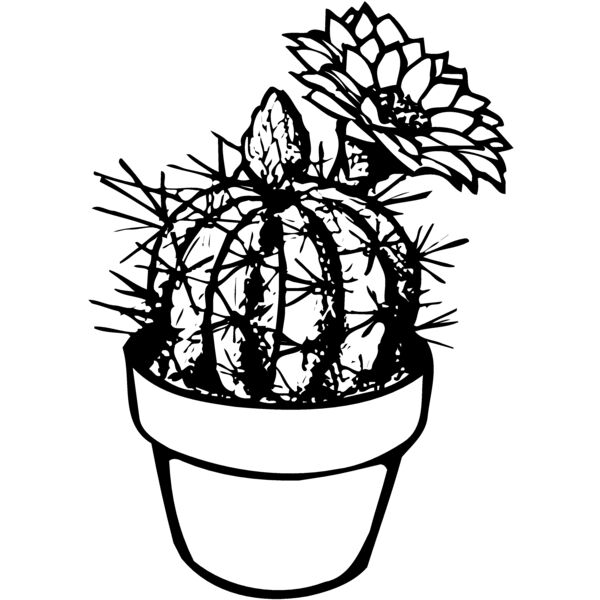 CACTUS01 Thumbnail