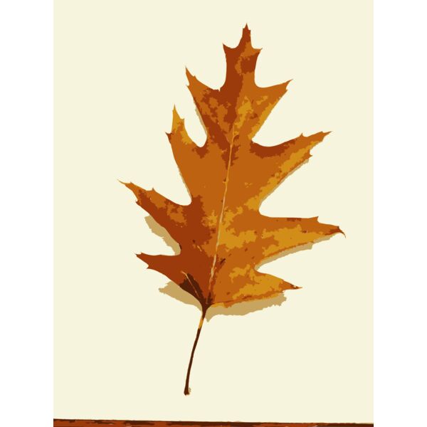 More fall tree leaves 1 Thumbnail