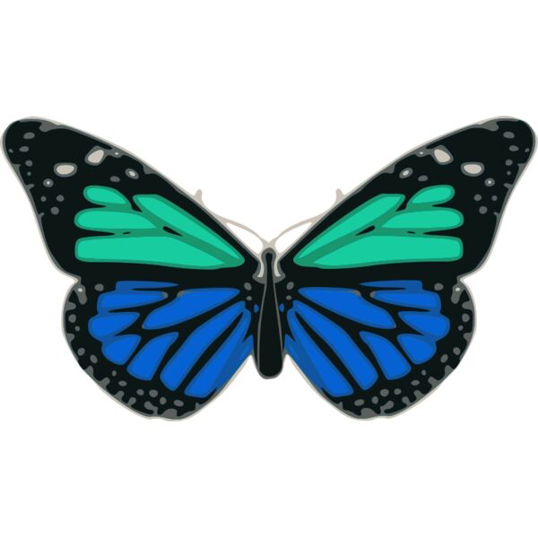 Butterfly 02 Turquoise Blue  2  Thumbnail