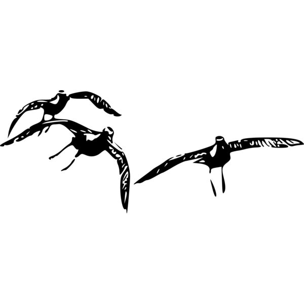 ryanlerch Golden Plovers Thumbnail