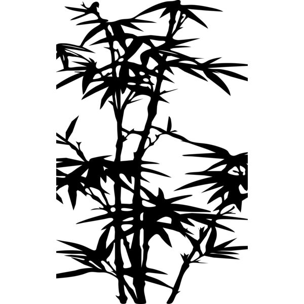 bamboo danny allen r  2  Thumbnail