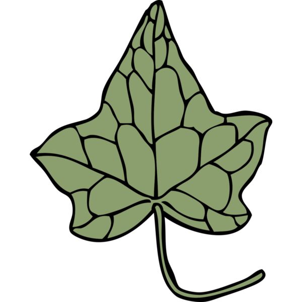 johnny automatic ivy leaf 5 Thumbnail