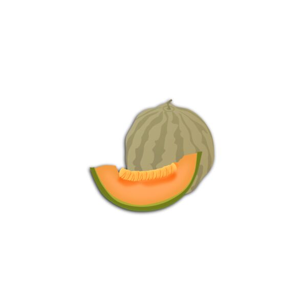 muskmelon Thumbnail