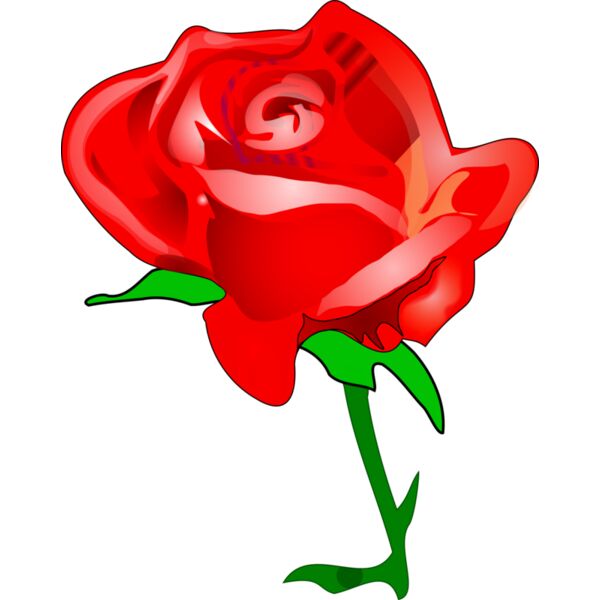 550e682b  2  Thumbnail