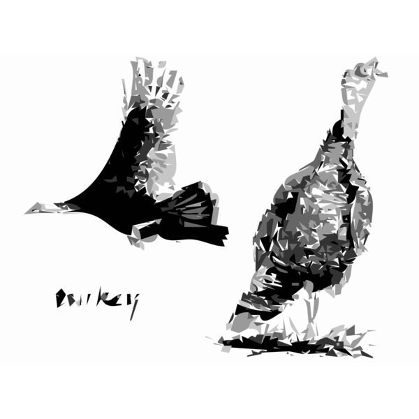2 Turkey Birds Thumbnail