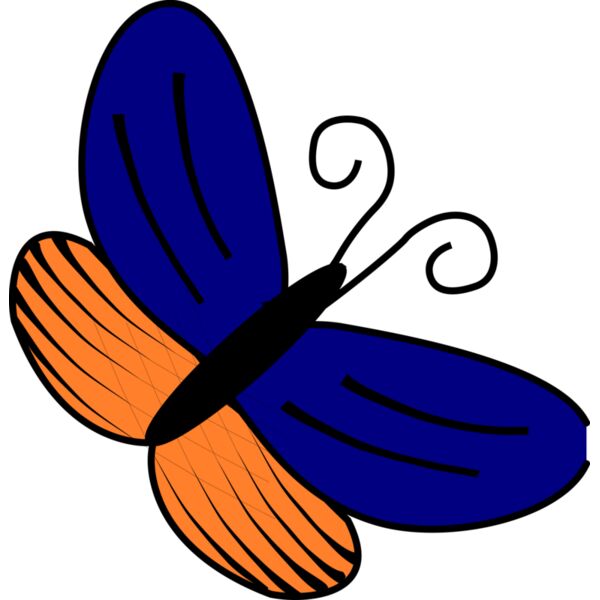 papillon bleu orange Thumbnail