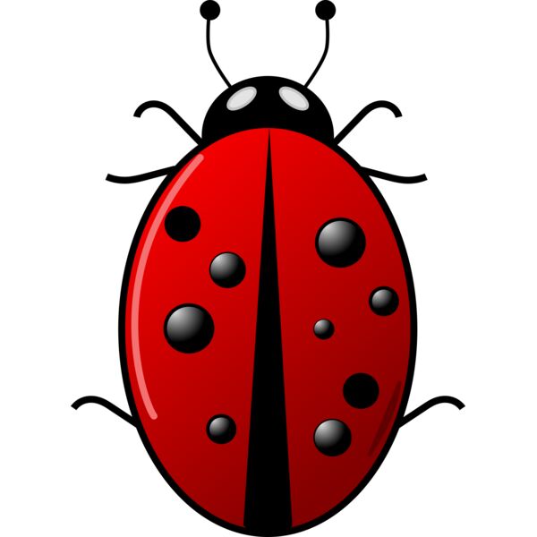 Ladybug Arvin61r58 Thumbnail