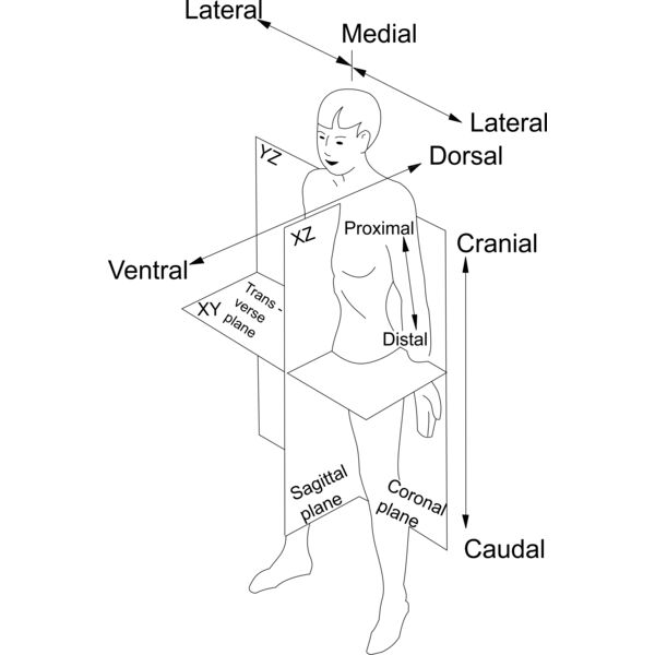1299203130  2  Thumbnail