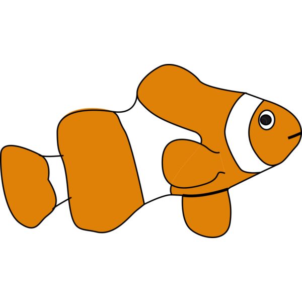 fish clouwn Thumbnail