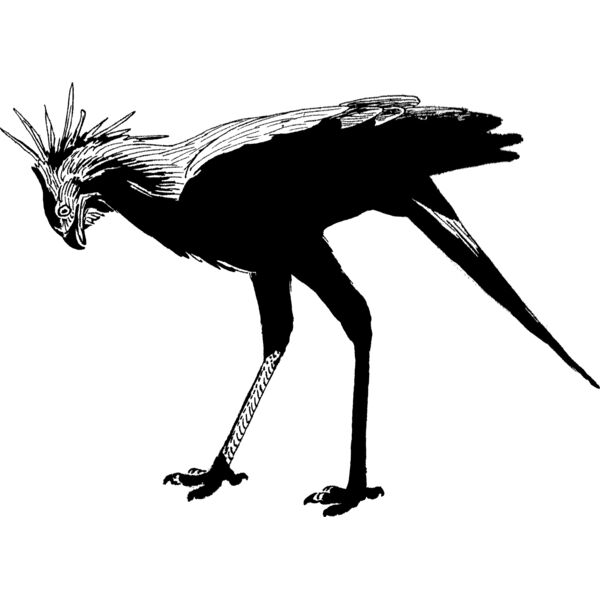 Secretary bird  Thumbnail