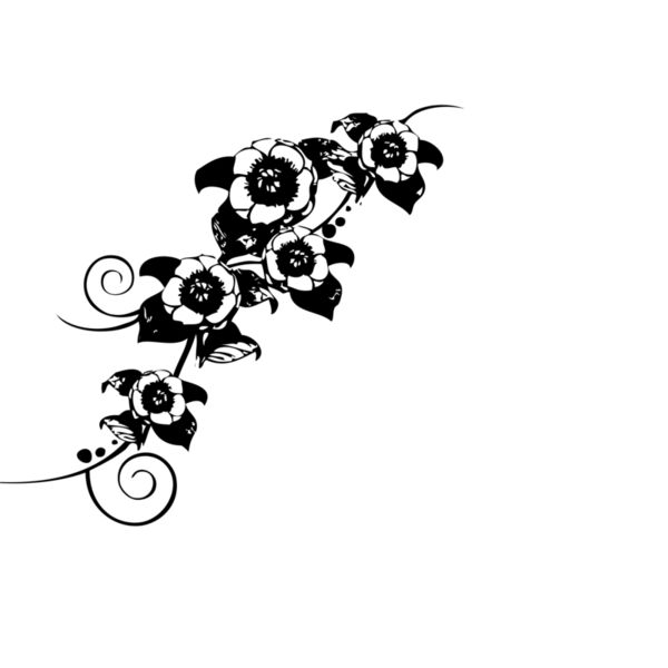 Border2  2  Thumbnail