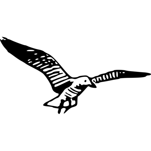 ryanlerch Herring Gull Simple Thumbnail