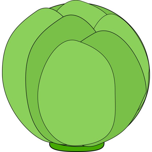 Machovka cabbage Thumbnail