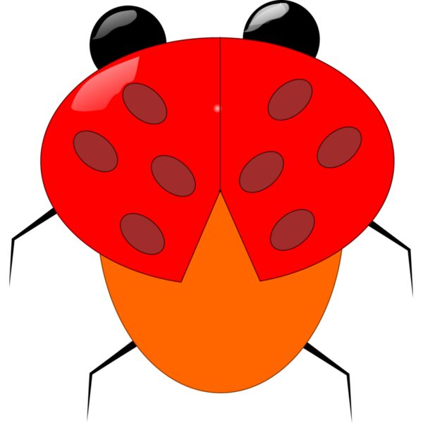 ladybeetle Thumbnail