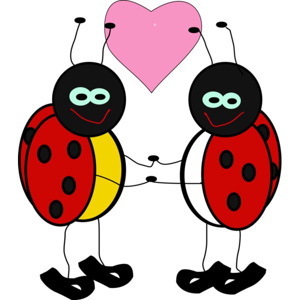 Machovka lady bugs Thumbnail