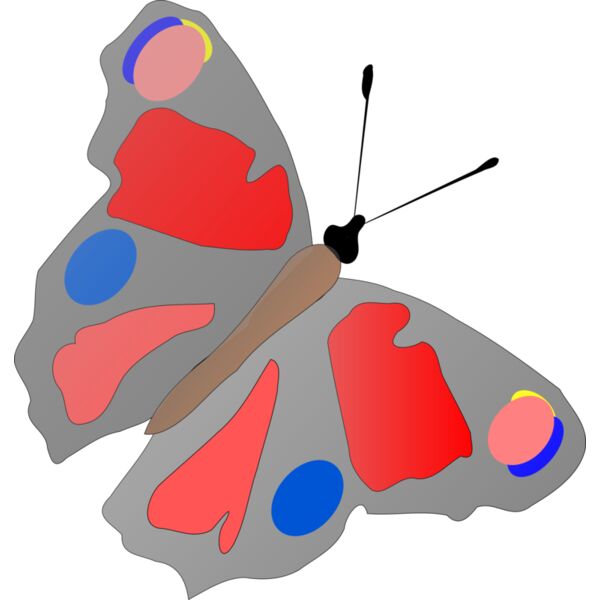 Machovka butterfly Thumbnail