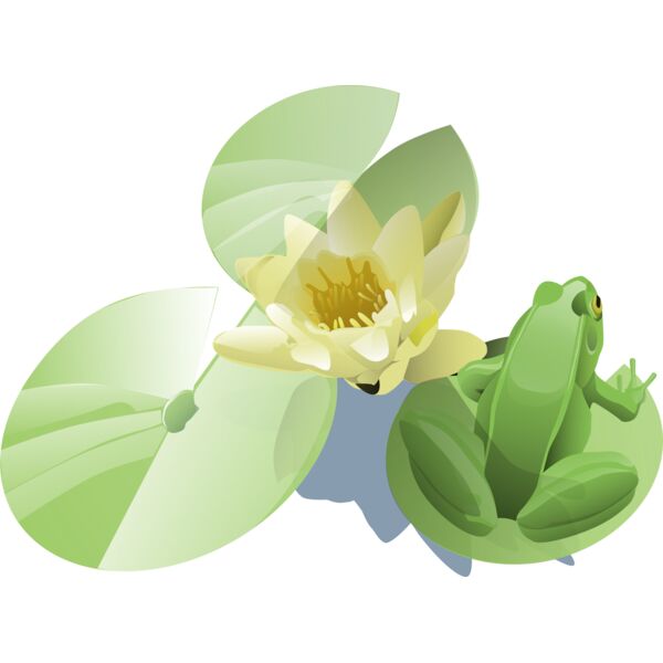 leland mcinnes Frog on a lily pad Thumbnail