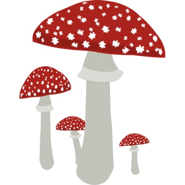 Mushrooms4 Thumbnail