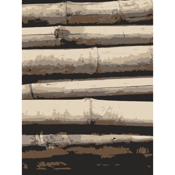 Bamboo Texture  2  Thumbnail