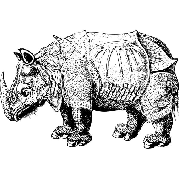 sclopit renaissance rhino Thumbnail