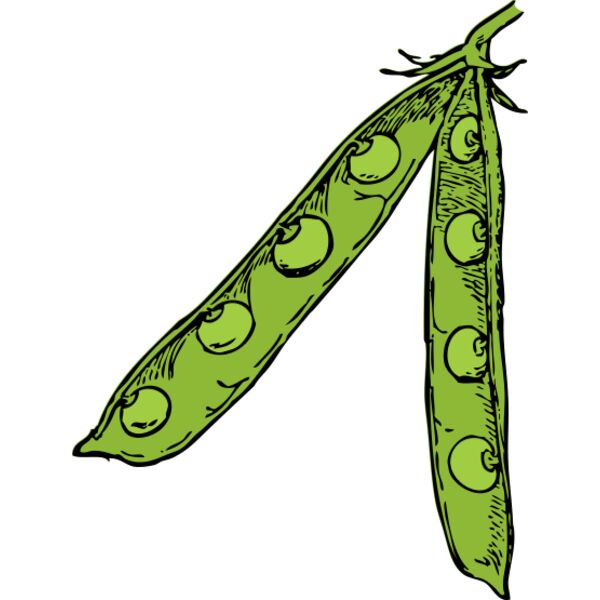 johnny automatic pea pod Thumbnail