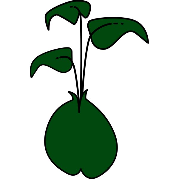 ikabezier plant Thumbnail