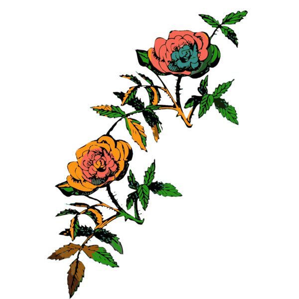 Roses Thumbnail