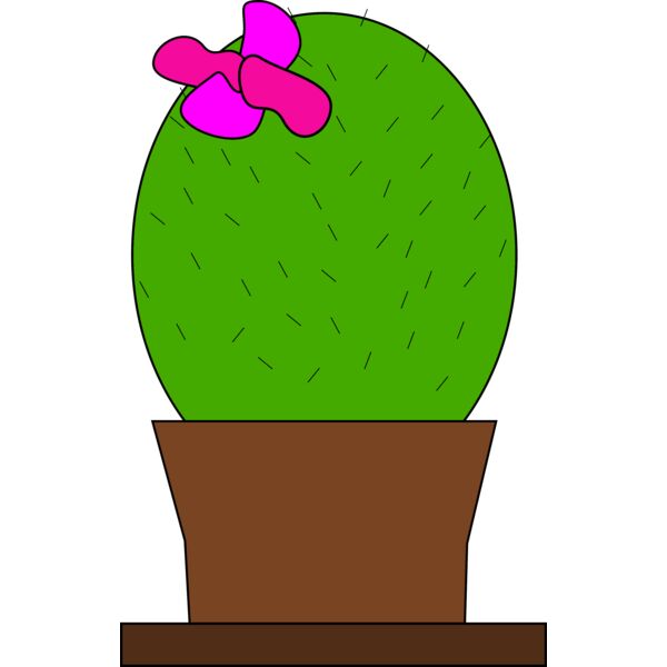 Machovka cactus 1 Thumbnail