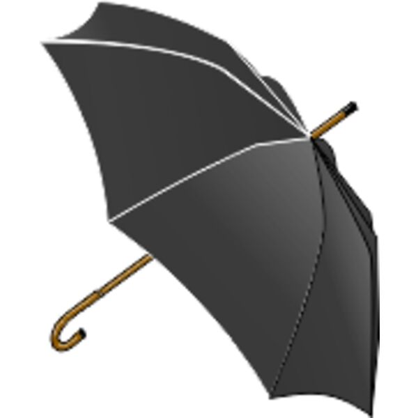 LX Black Umbrella Thumbnail
