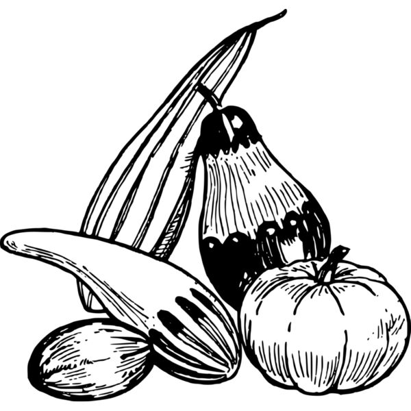 warszawianka Gourds Thumbnail