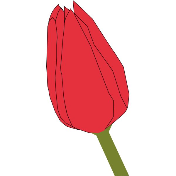 Machovka tulip2 Thumbnail