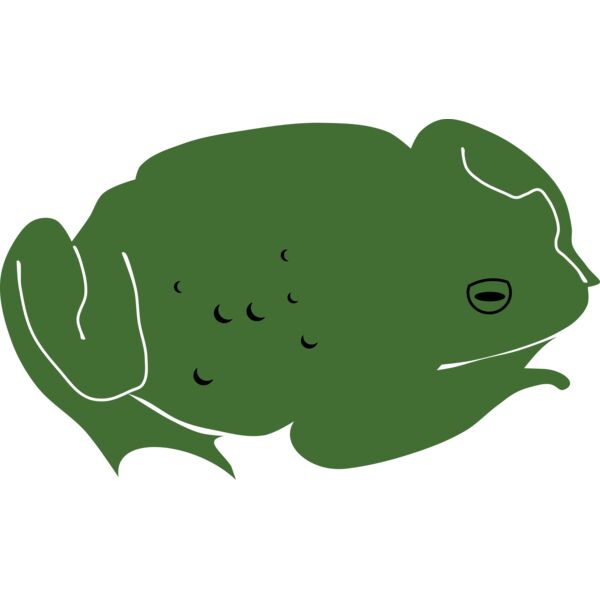 Toad by Rones Thumbnail