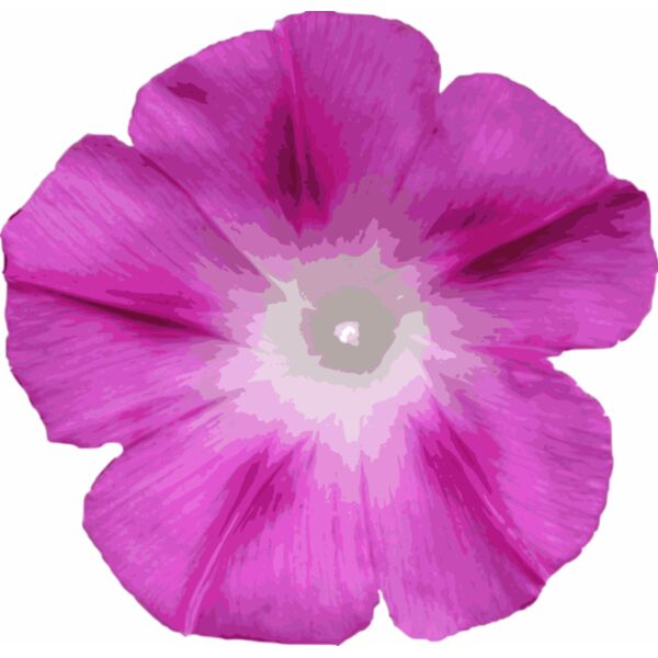 Morning glory cutout Thumbnail