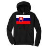 Unisex Sponge Fleece Pullover DTM Hoodie Thumbnail