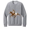 Unisex Sponge Fleece Raglan Sweatshirt Thumbnail