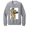 Unisex Sponge Fleece Raglan Sweatshirt Thumbnail