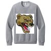 Unisex Sponge Fleece Raglan Sweatshirt Thumbnail