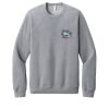 Unisex Sponge Fleece Raglan Sweatshirt Thumbnail