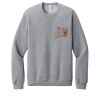 Unisex Sponge Fleece Raglan Sweatshirt Thumbnail