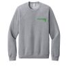 Unisex Sponge Fleece Raglan Sweatshirt Thumbnail