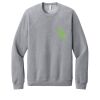 Unisex Sponge Fleece Raglan Sweatshirt Thumbnail