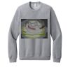 Unisex Sponge Fleece Raglan Sweatshirt Thumbnail