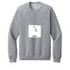 Unisex Sponge Fleece Raglan Sweatshirt Thumbnail