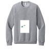 Unisex Sponge Fleece Raglan Sweatshirt Thumbnail