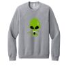 Unisex Sponge Fleece Raglan Sweatshirt Thumbnail
