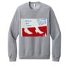 Unisex Sponge Fleece Raglan Sweatshirt Thumbnail