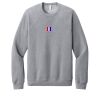 Unisex Sponge Fleece Raglan Sweatshirt Thumbnail