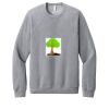Unisex Sponge Fleece Raglan Sweatshirt Thumbnail