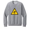 Unisex Sponge Fleece Raglan Sweatshirt Thumbnail
